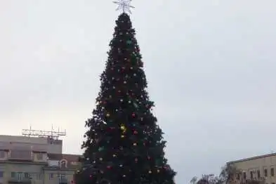 Завтра відкриють головну ялинку Кіровоградщини