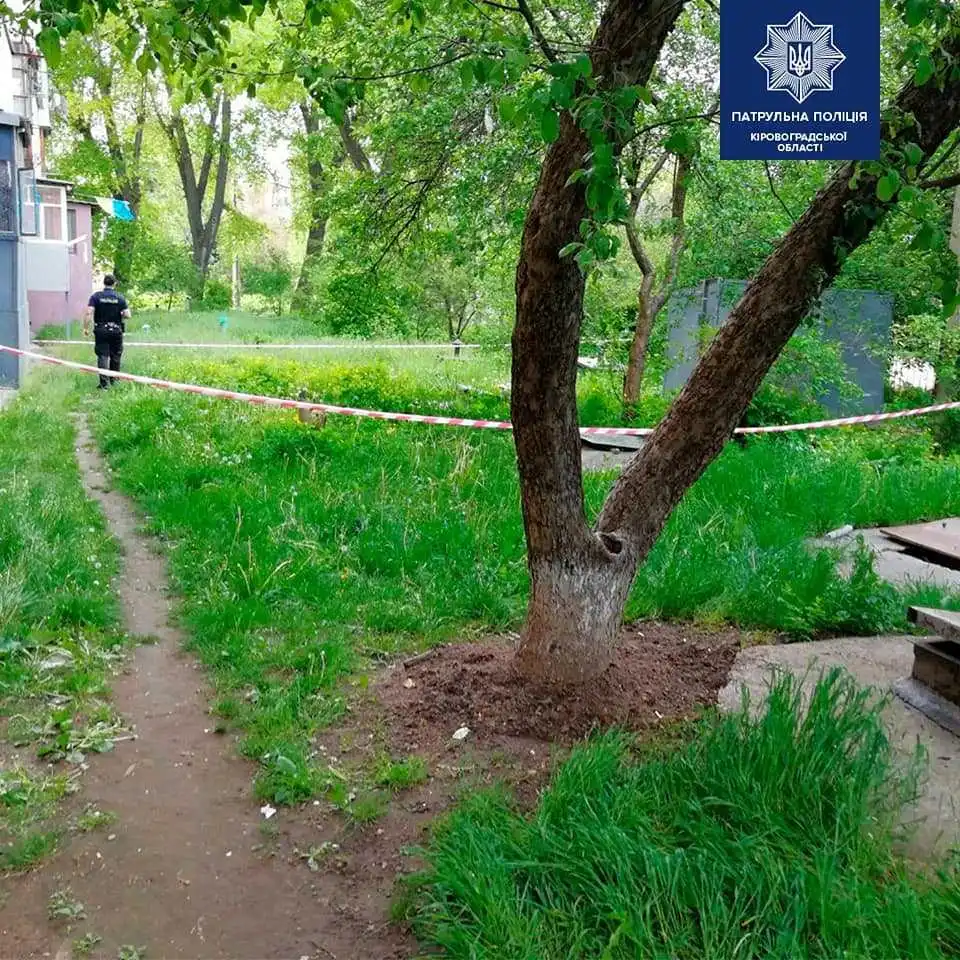 У Кропивницькому біля гаражів знайшли артилерійські снаряди (ФОТО)