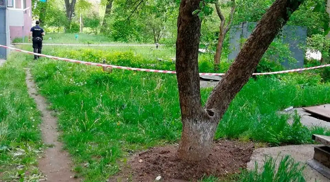 У Кропивницькому біля гаражів знайшли артилерійські снаряди (ФОТО) фото 1