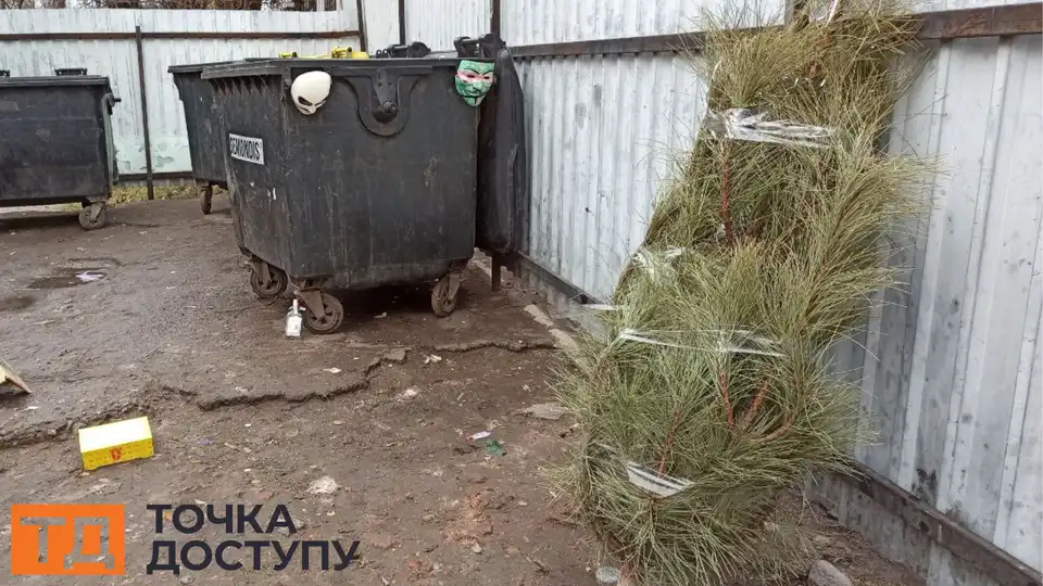 куди викидати ялинки у Кропивницькому