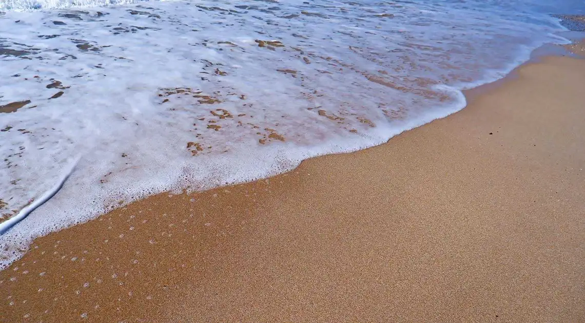 На пляжах в Олександрії знайшли кишкову паличку фото 1