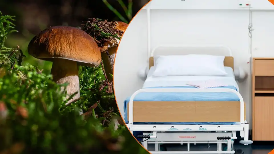 “Стан покращується”: що відомо про 4-річну дівчинку, яка отруїлася грибами на Кіровоградщині