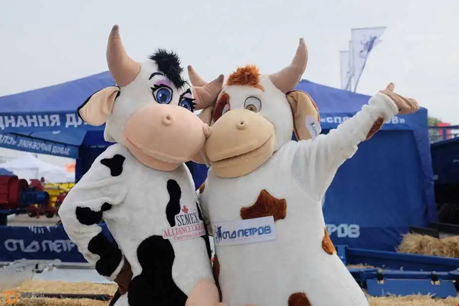 "АгроЕкспо-2019" у Кропивницькому: що чекає на відвідувачів виставки в п'ятницю (ПРОГРАМА)