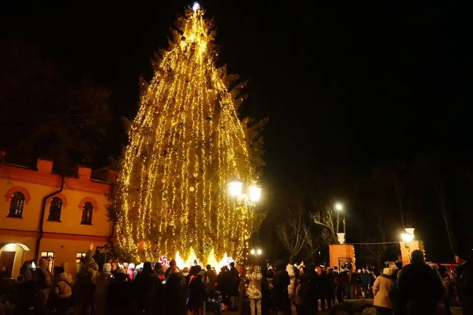 відкриття ялинки