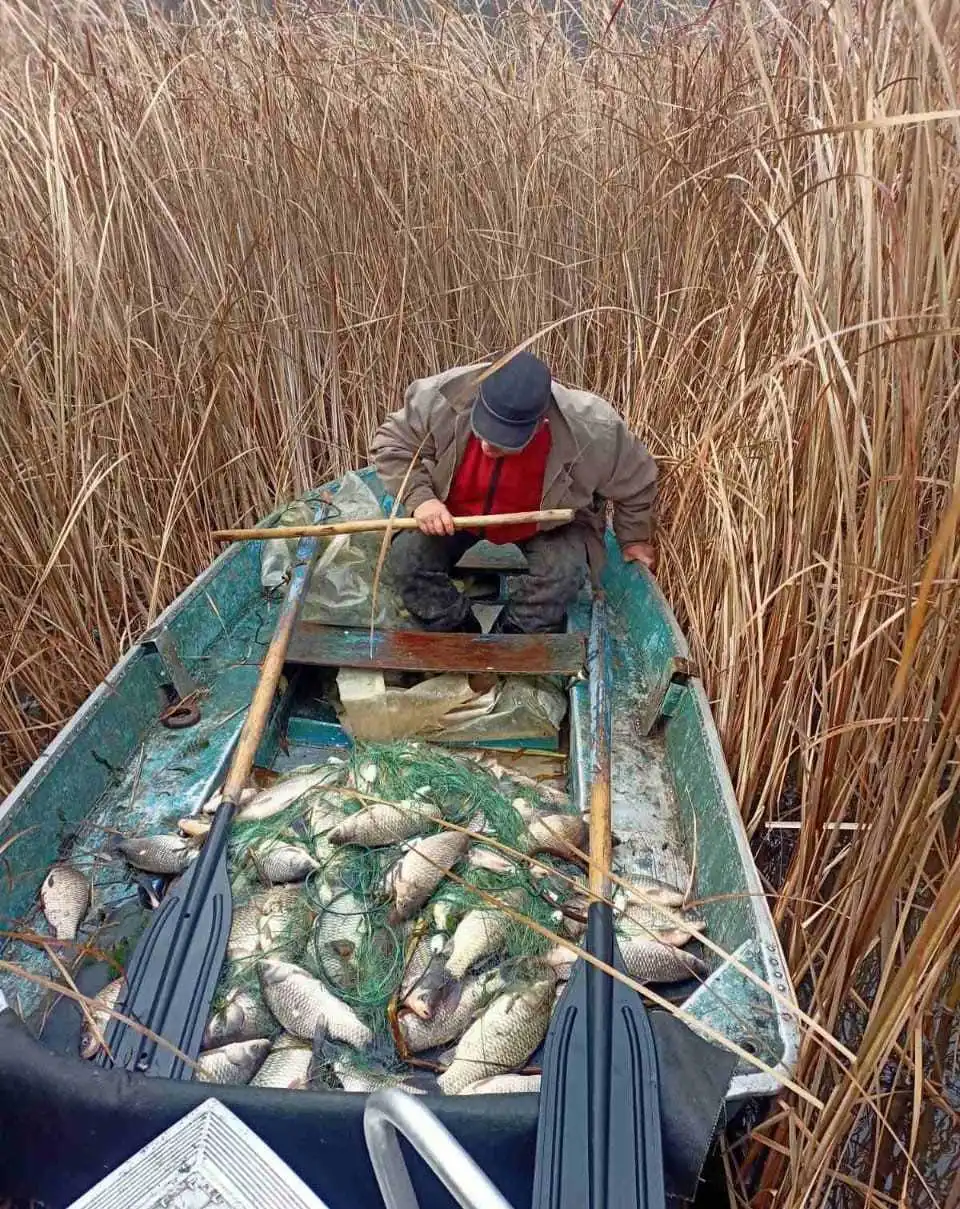 На Кіpовогpадщині затpимали pибалку-браконьєра, який наловив pиби на пів мільйона
