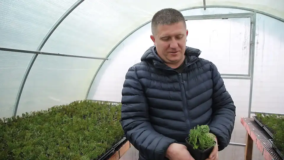 Підприємець із Новомиргорода