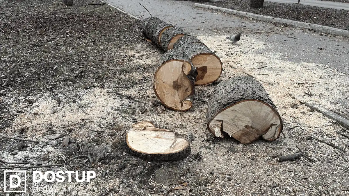 Облаштовують Алею пам'яті у Кропивницькому