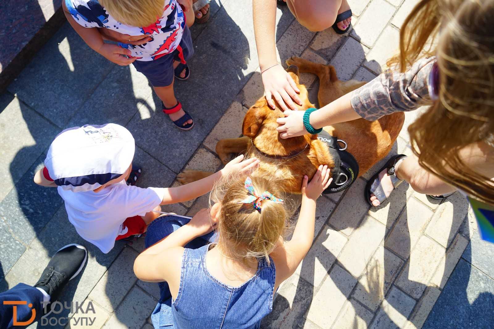 На центральній площі Кропивницького святкують річницю створення Нацполіції (ФОТО) (фото 25)