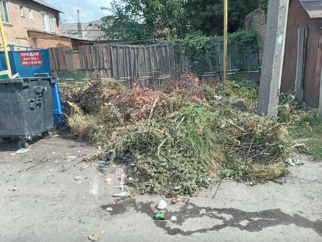 Кропивничани закидають контейнери для сміття "зеленими" відходами (ФОТО, ВІДЕО) (фото 2)