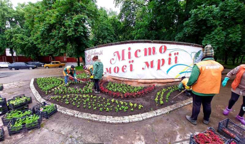 Крадіжки з клумб: хто розкрадає квітники Кропивницького (фото 1)