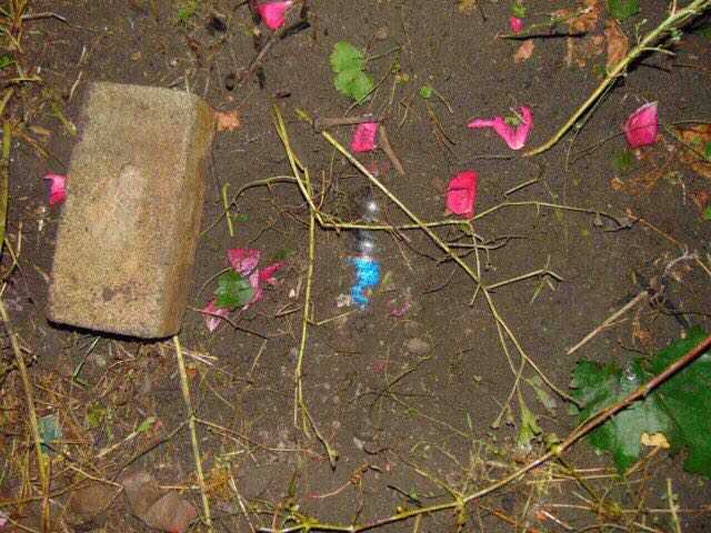 На Миколаївщині жінка з Кіровоградщини "налагодила" безконтактний наркобізнес (ФОТО) (фото 1)