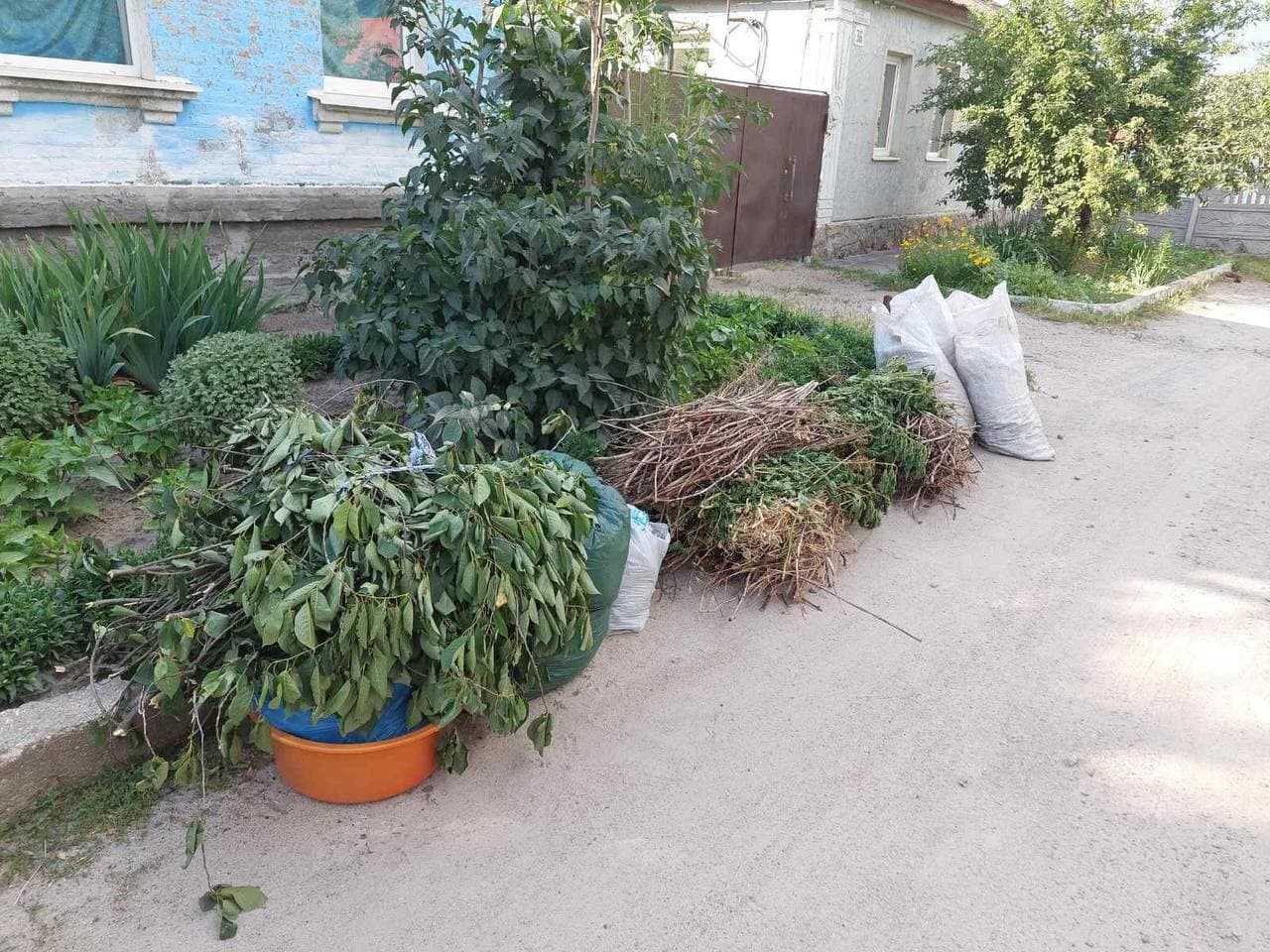 Кропивничани закидають контейнери для сміття "зеленими" відходами (ФОТО, ВІДЕО) (фото 1)