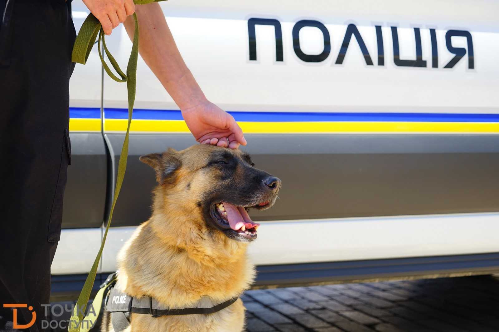 На центральній площі Кропивницького святкують річницю створення Нацполіції (ФОТО) (фото 28)