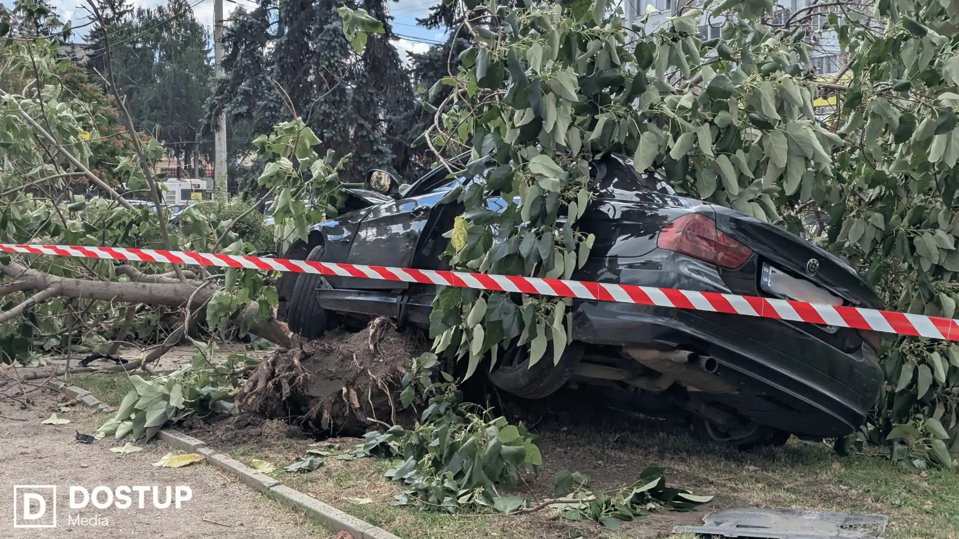 Водій BMW протаранив дерево на площі Богдана Хмельницького у Кропивницького і втік