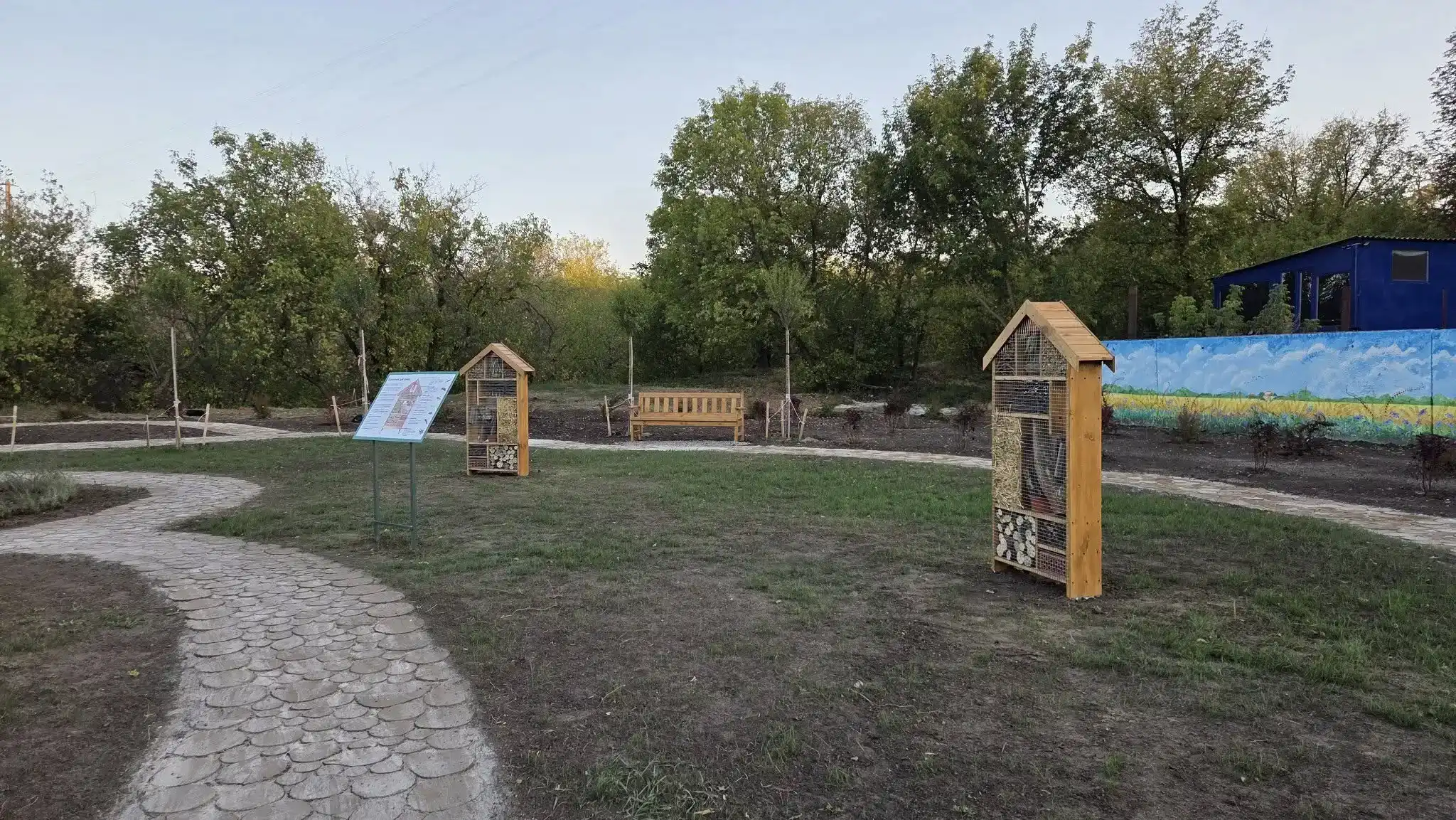 Хто доглядає за новим екосквером у Кропивницькому і коли зацвіте мавританський газон