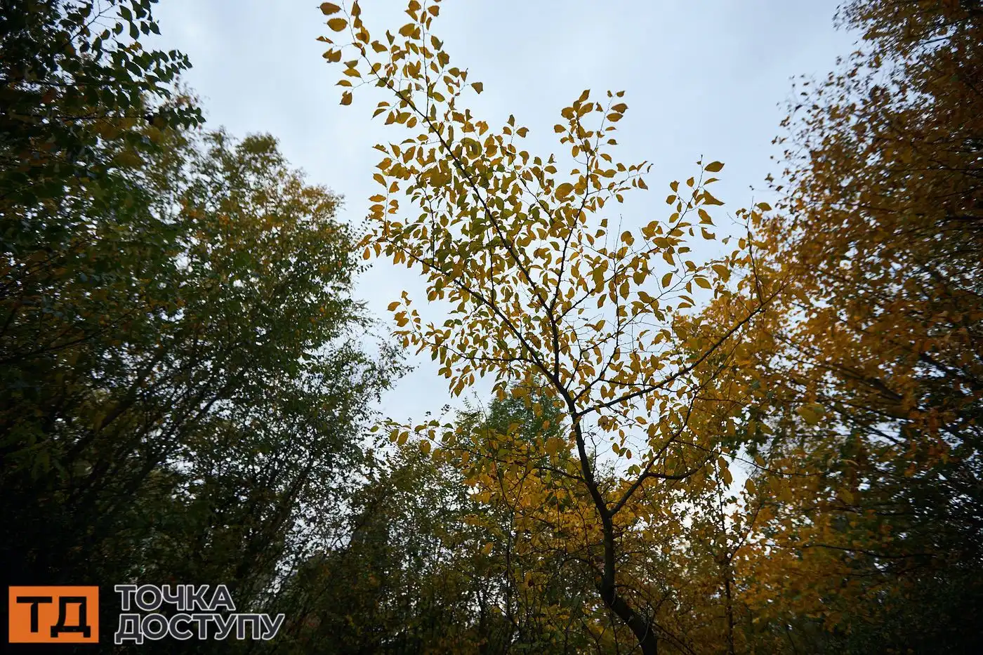 Жовтень у Кропивницькому: осінній фоторепортаж (фото 15)