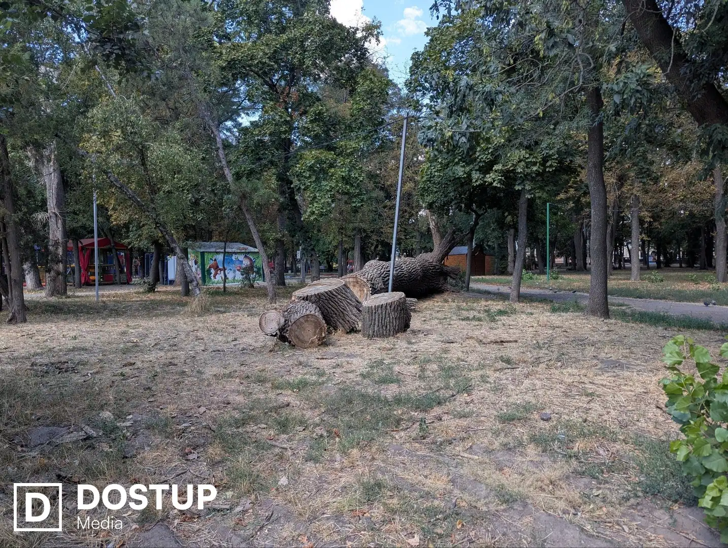 Дерево у Ковалівському парку повалила негода у квітні 2026 року