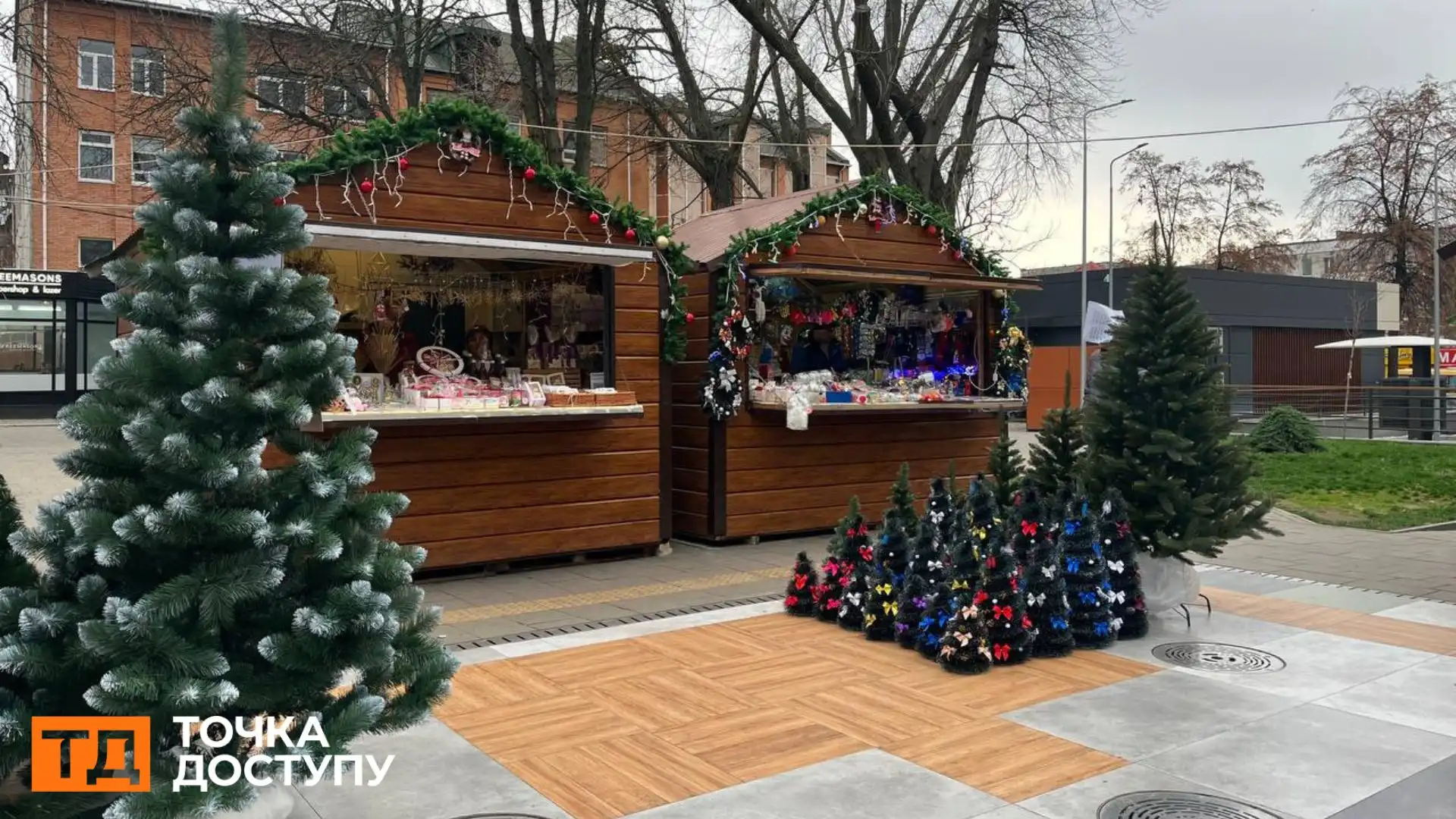 Встановили ялинку в Центральному сквері у Кропивницькому