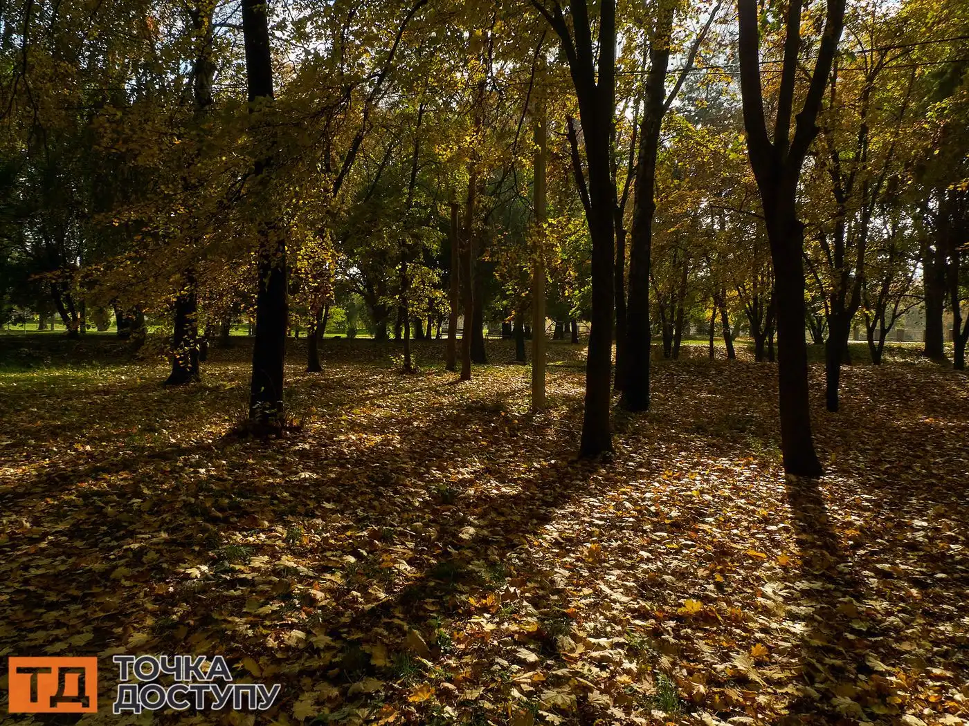 Кропивницький восени перетворюється на місто тепла, гармонії та неспішних прогулянок.