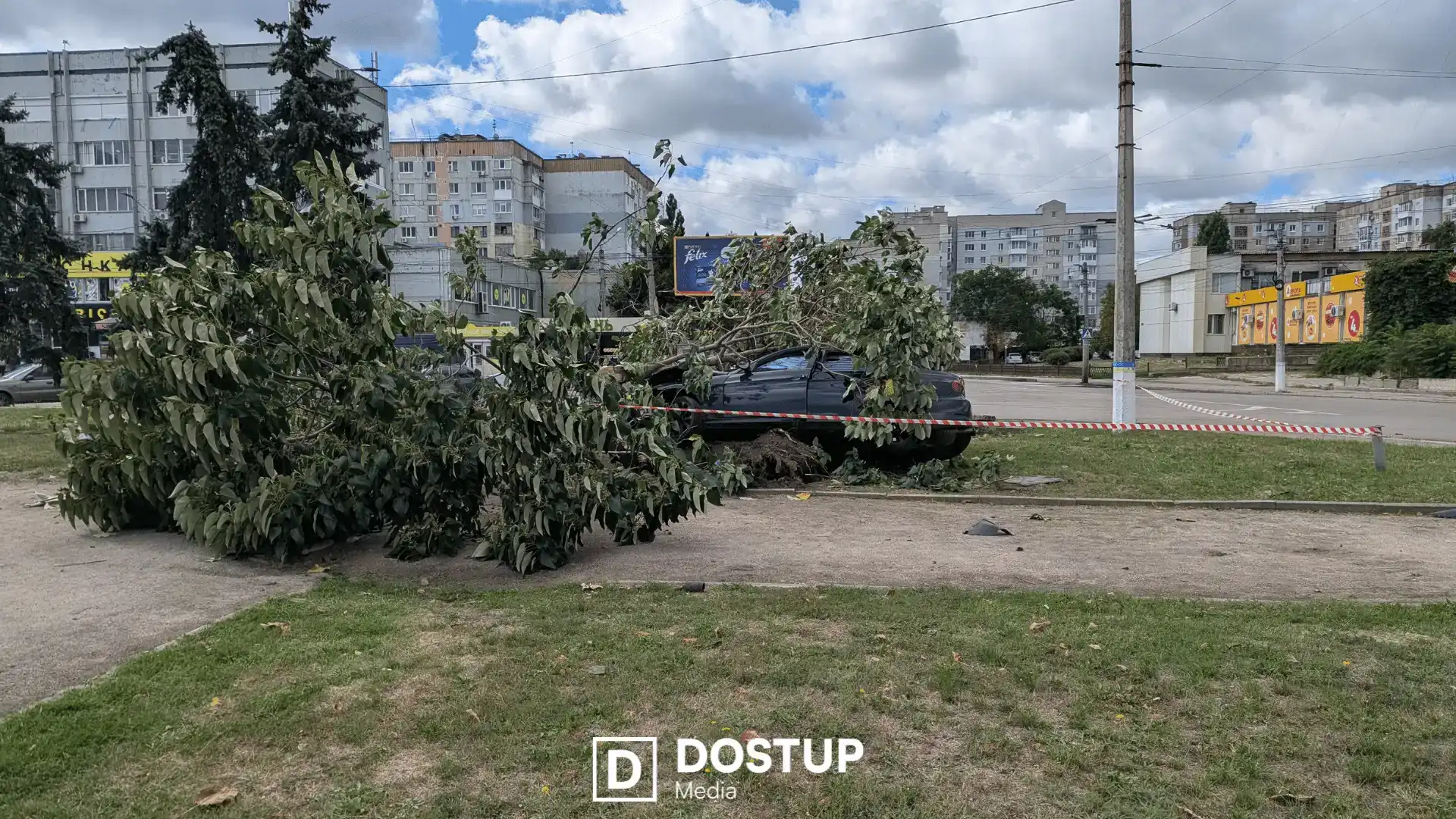 У Кропивницькому знайшли водія, який в’їхав у дерево на площі Богдана Хмельницького та втік