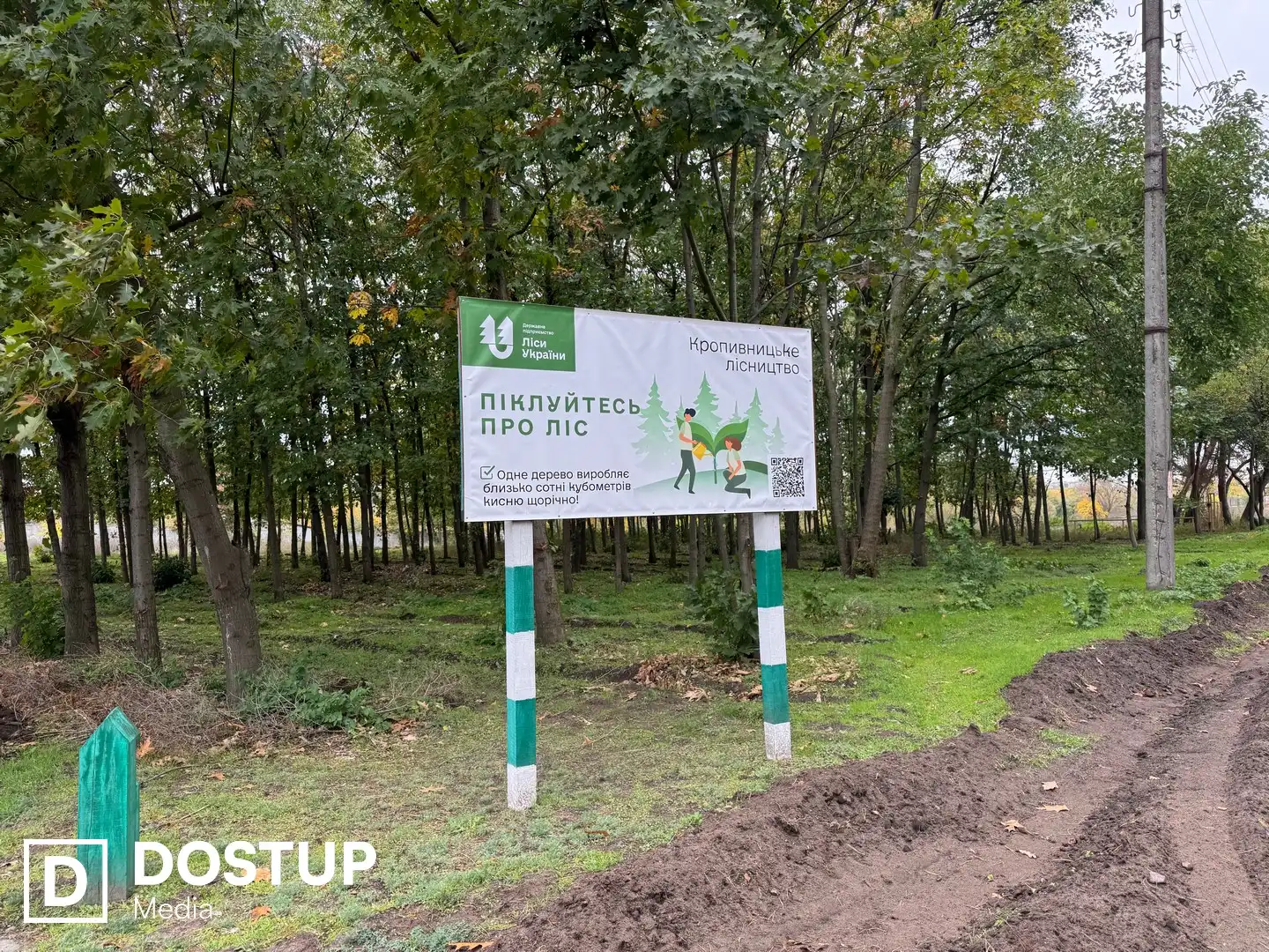 Кропивницьке лісництво