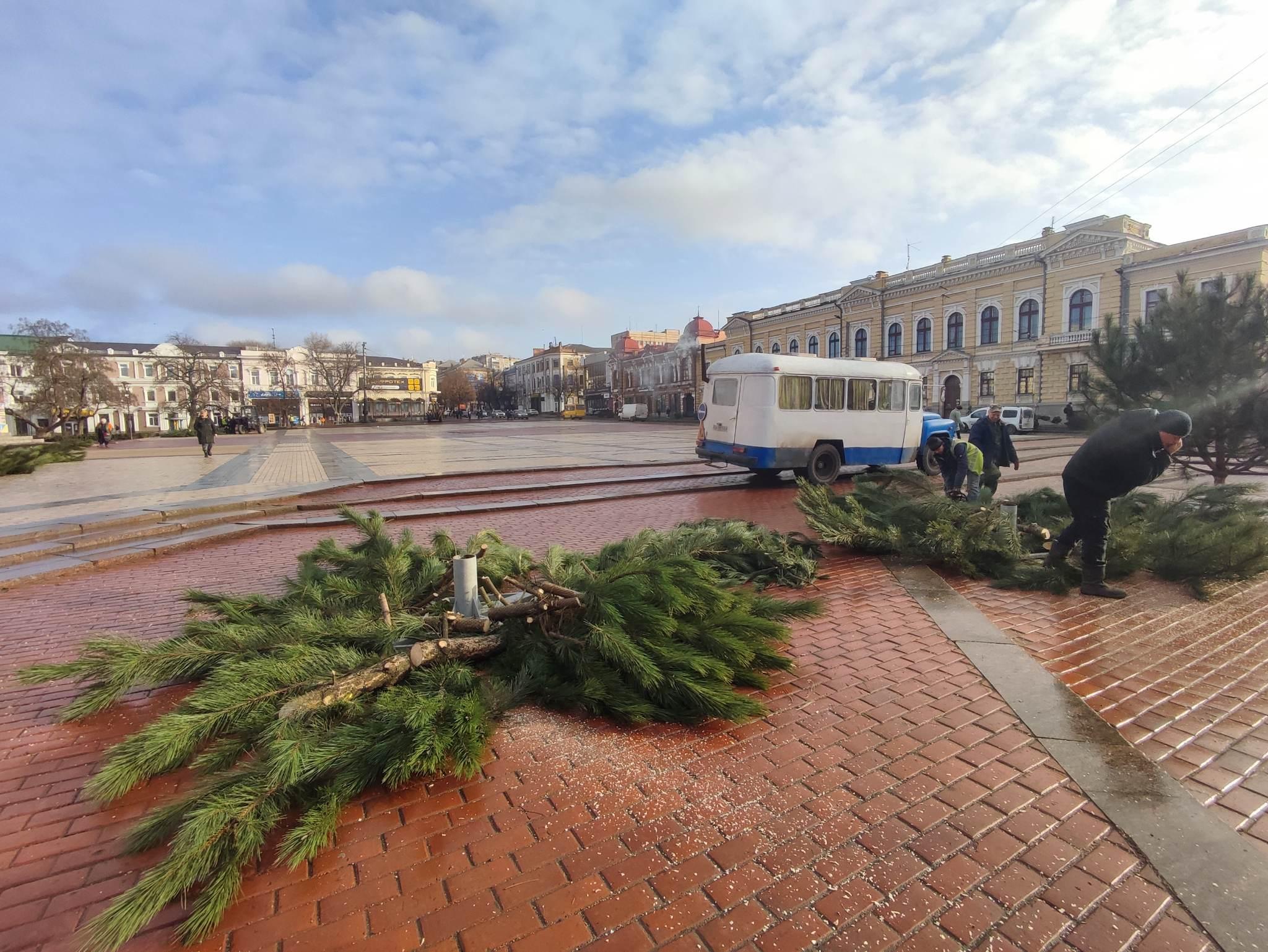 демонтаж ялинок у Кропивницькому