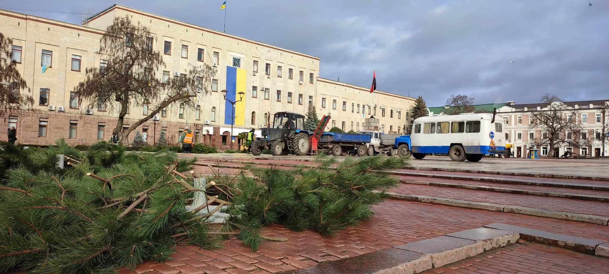 демонтаж ялинок у Кропивницькому