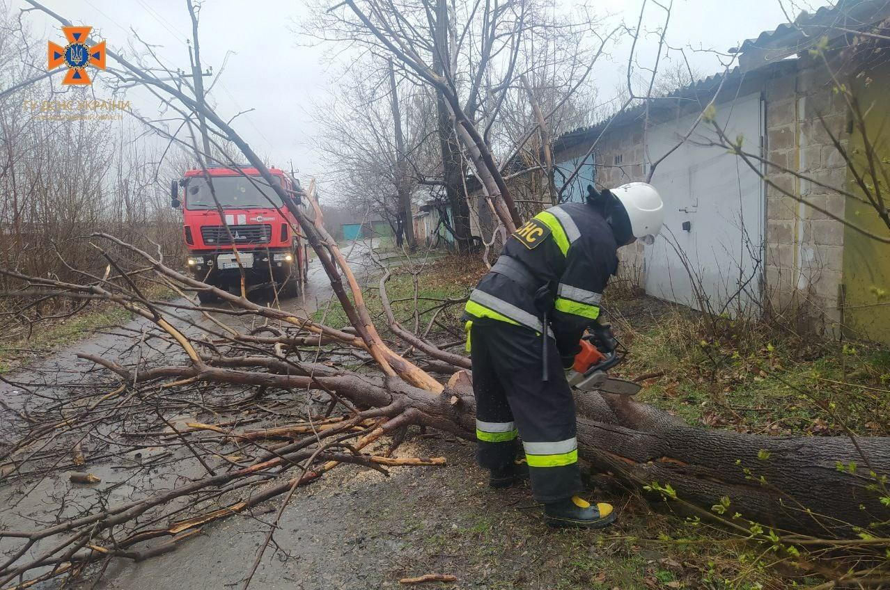 Аварійні дерева