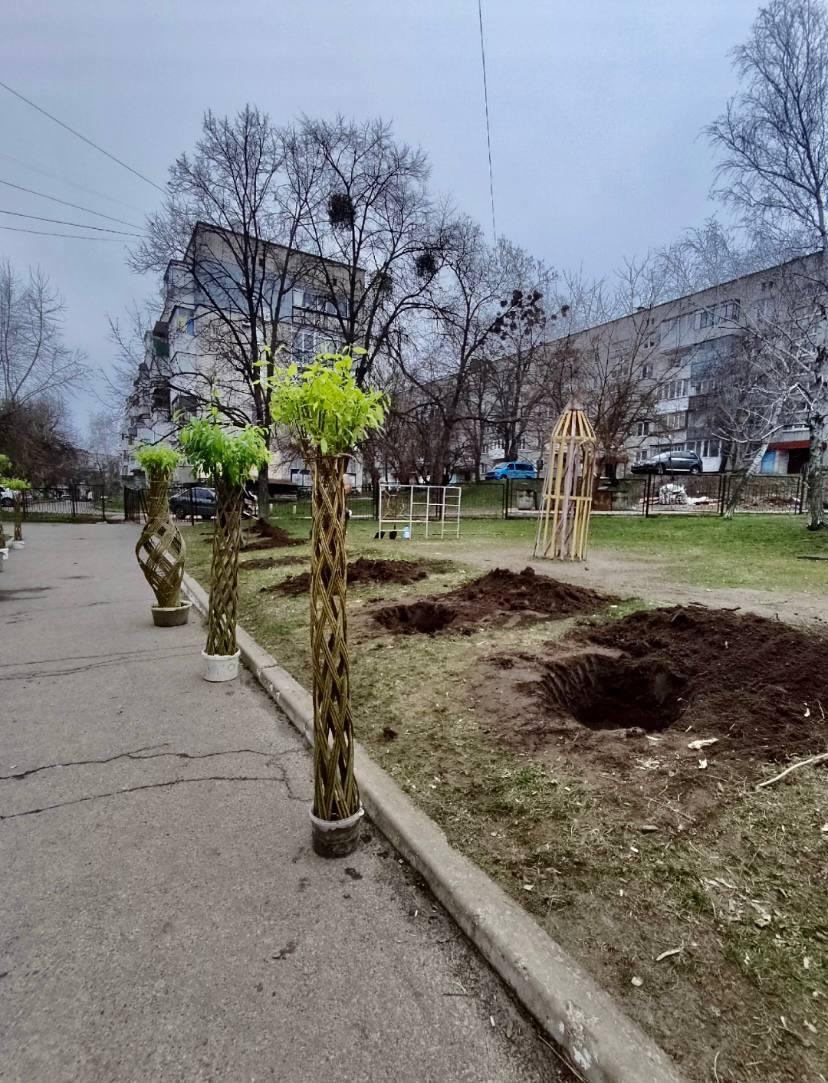 фігурно сплетені дерева