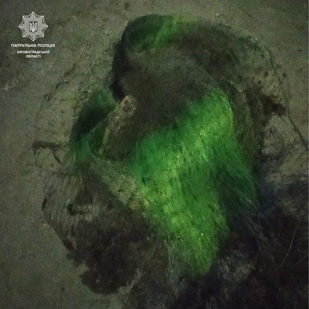 Сітки