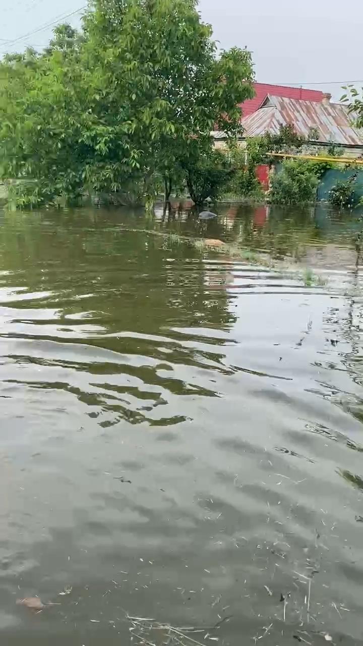 Затоплені вулиці
