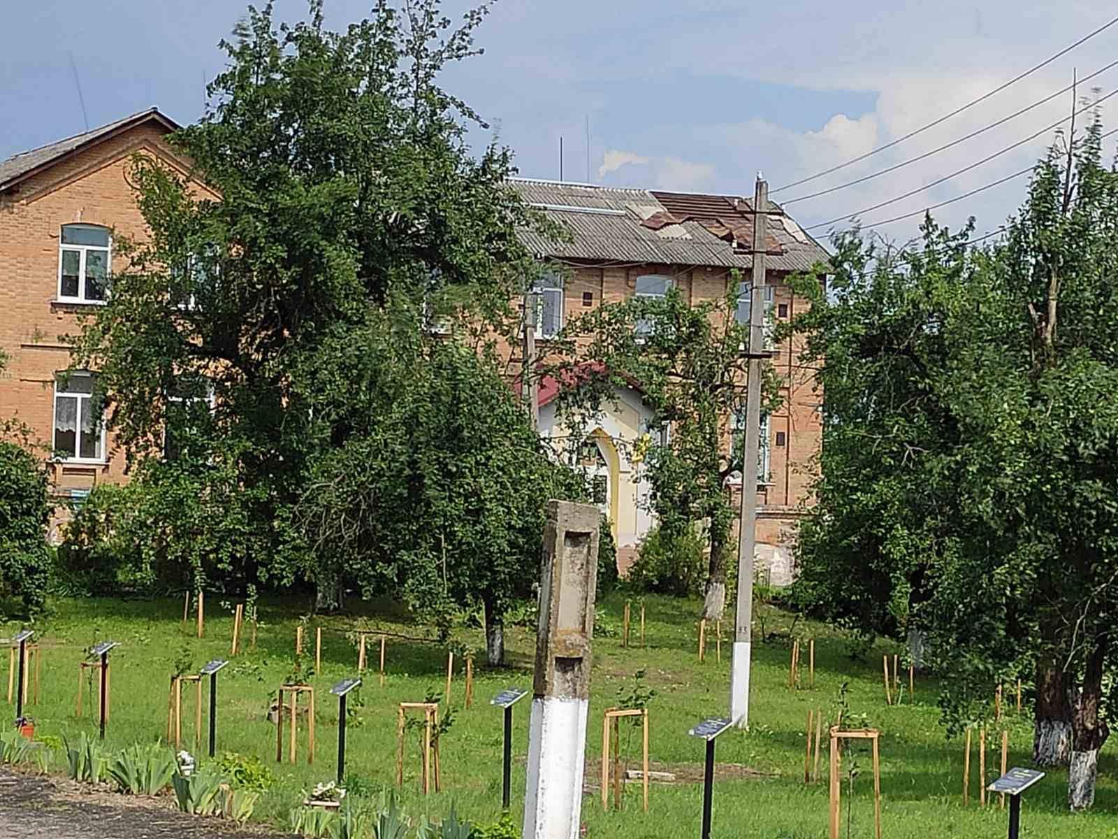 Наслідки негоди у Дмитрівці