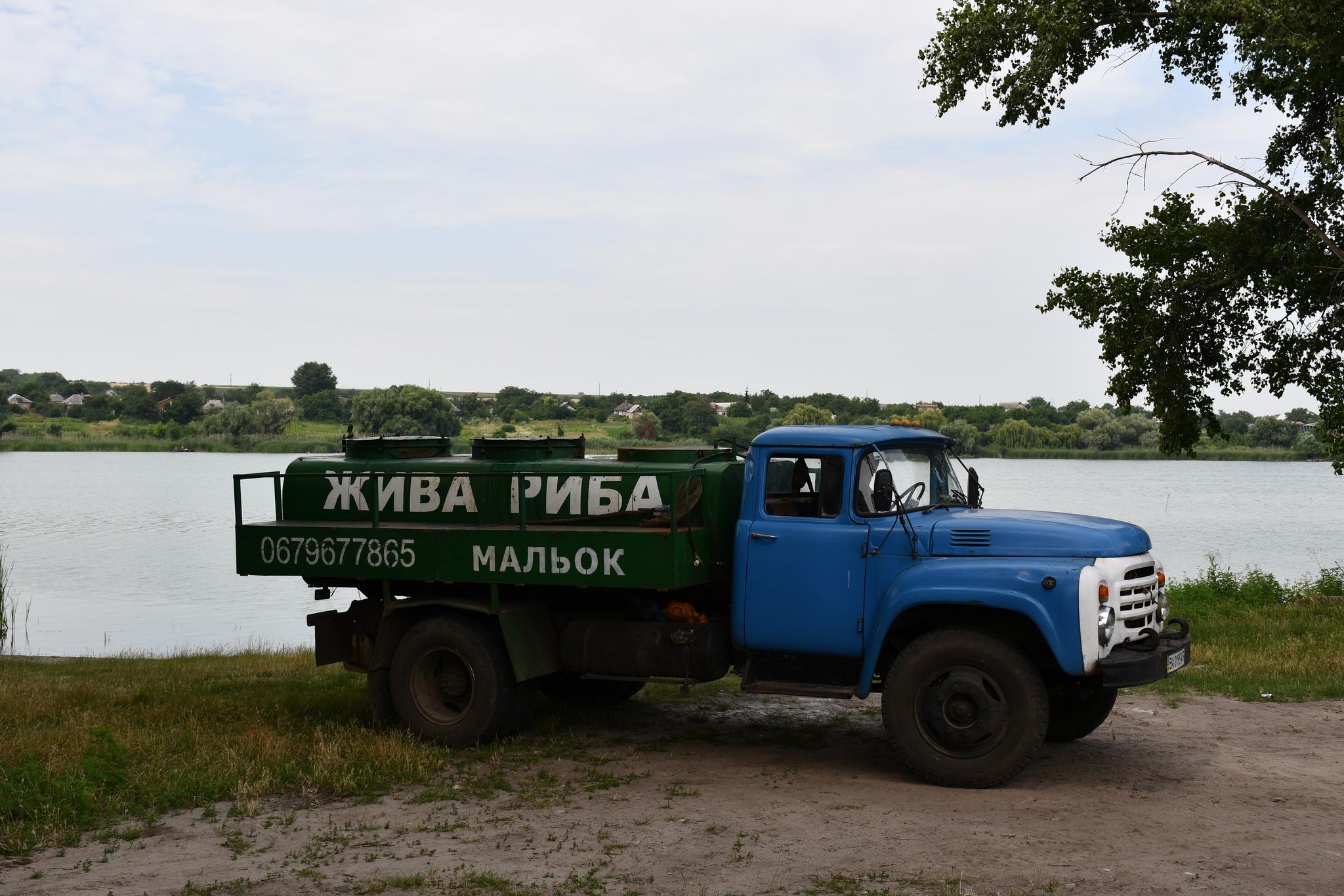 Зарибнення