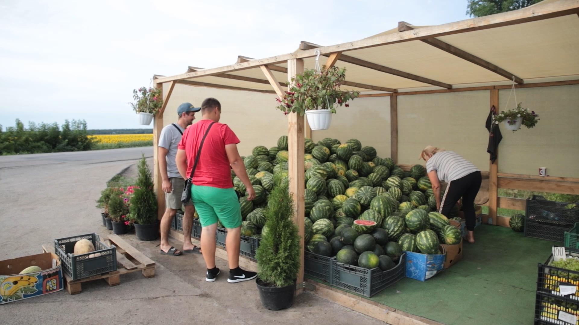 Продаж баштанних