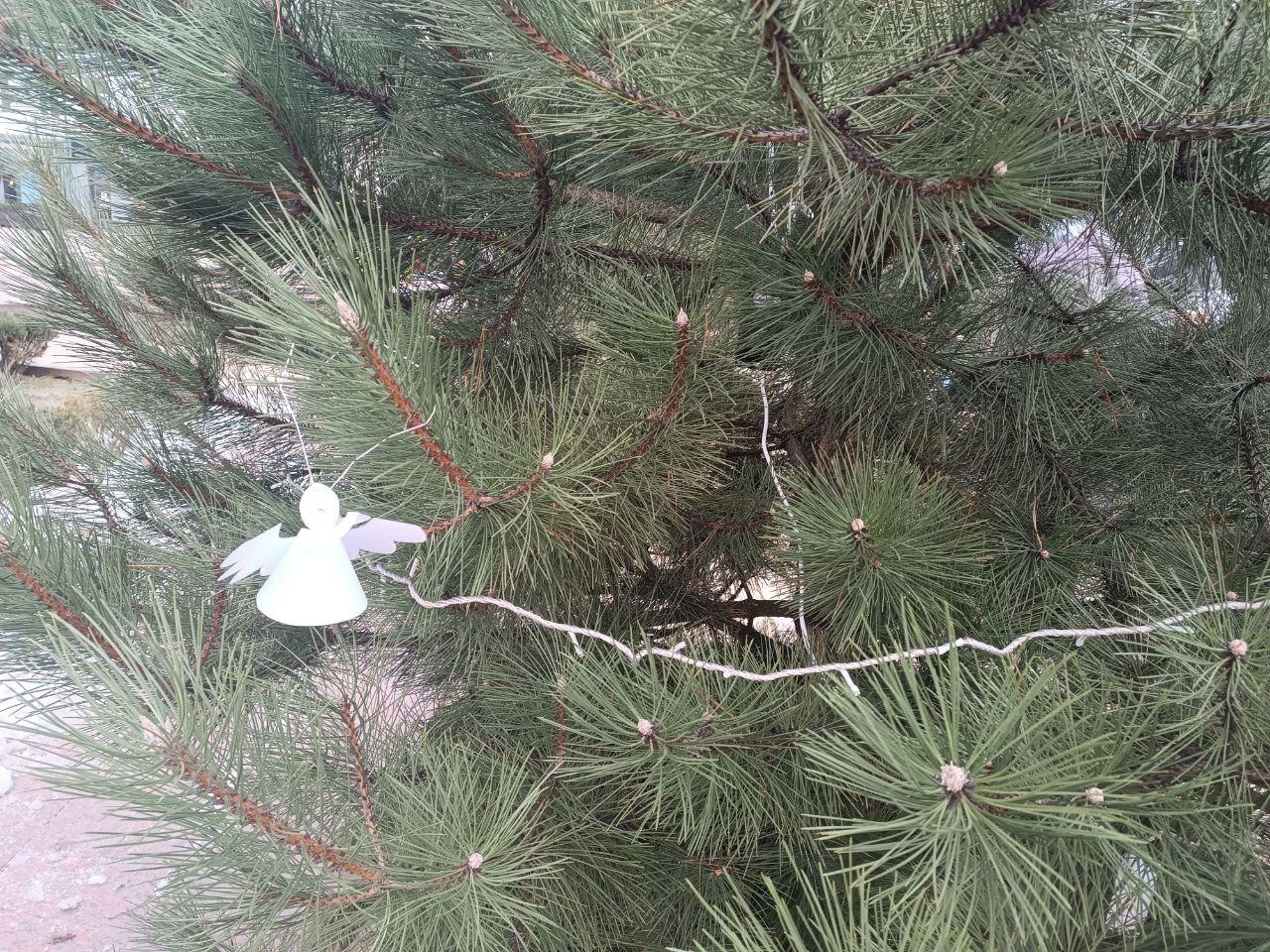 Площа у Кропивницькому, новорічні дерева
