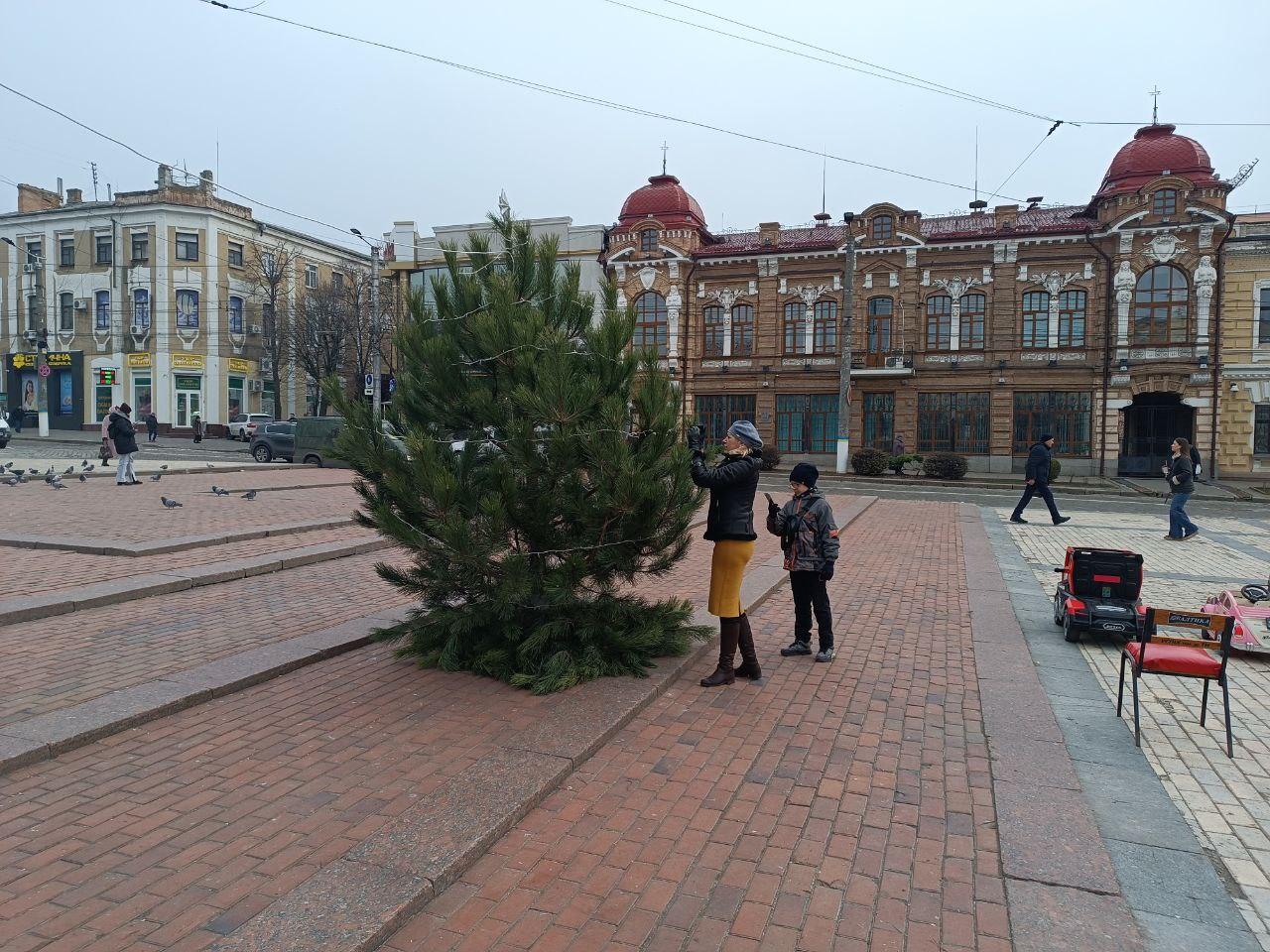 новорічні дерева на площі Героїв Майдану