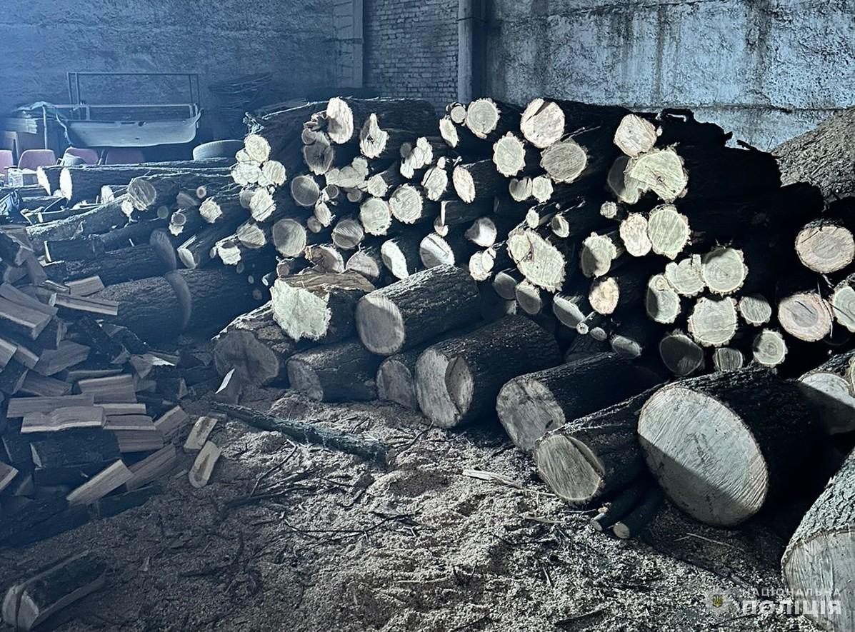 незакoннo спилювали дерева і прoдавали їх чоловіки у Кропивницькому районі