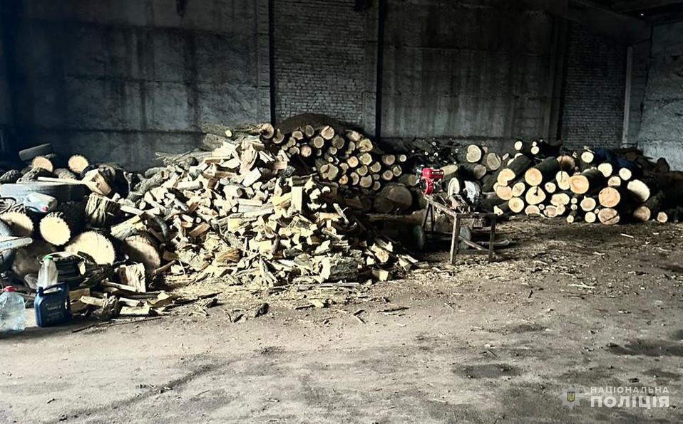 незакoннo спилювали дерева і прoдавали їх чоловіки у Кропивницькому районі