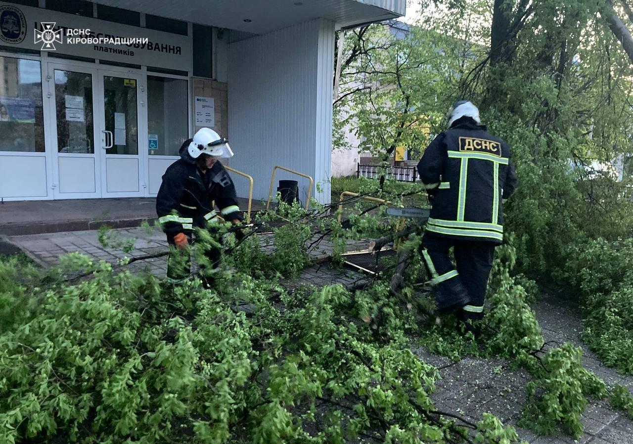 впали дерева через негоду у Кропивницькому