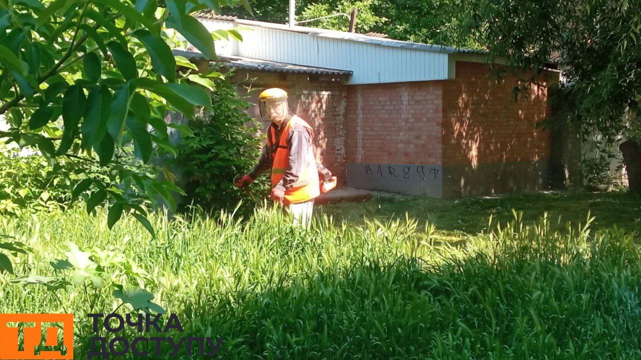 траву косять у Кропивницькому біля будинків
