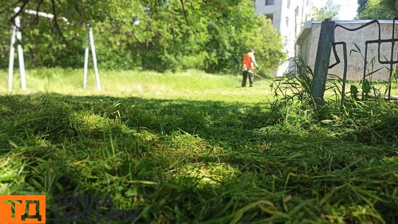 півтора мільйони гривень виділили на скошування трави у Кропивницькому