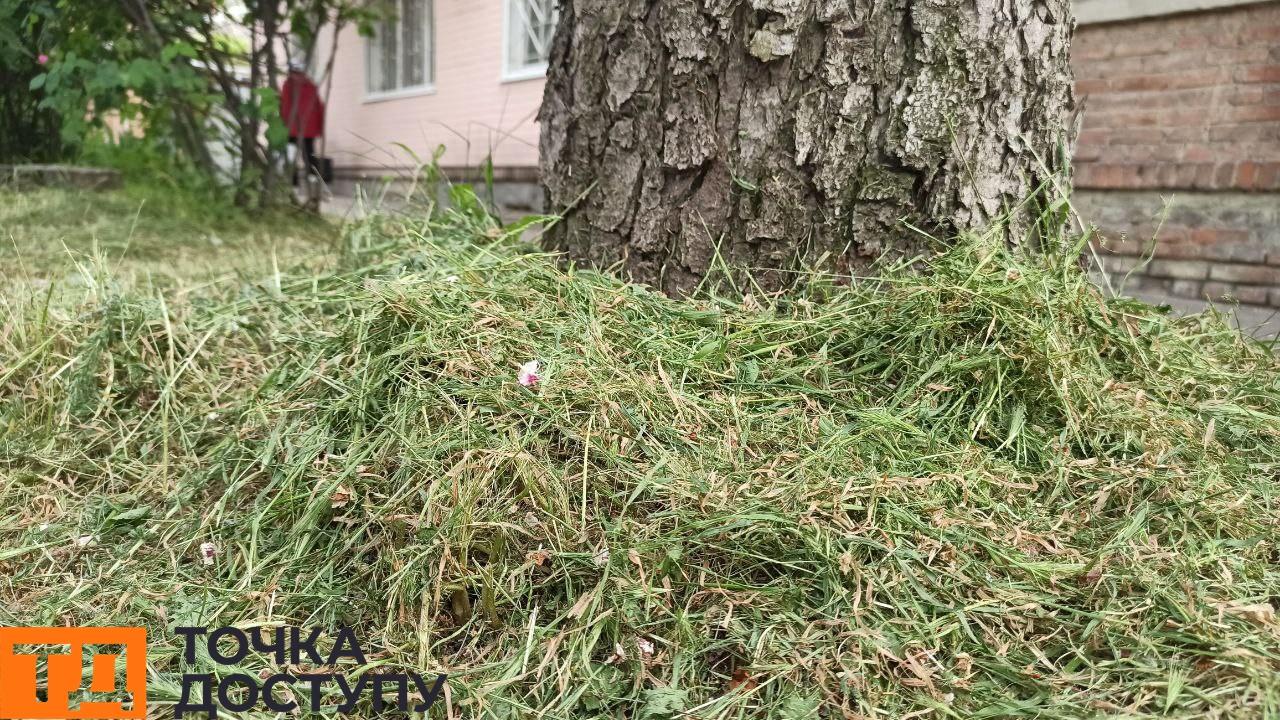 траву скошують у Кропивницькому