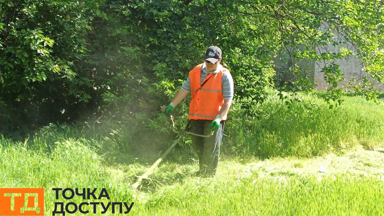 працівники ЖЕО№1 скошують траву у Кропивницькому