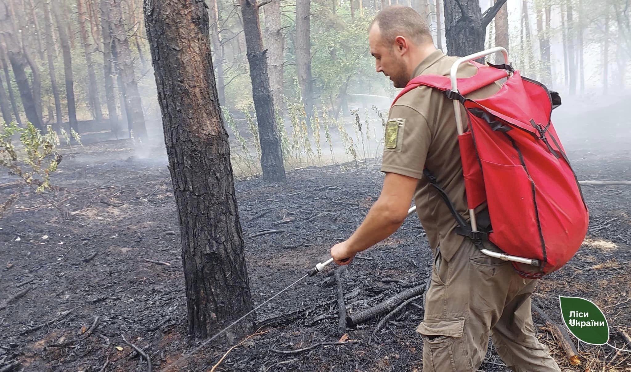 через осьтріл росіян горів ліс у Чорноліському лісгоспі