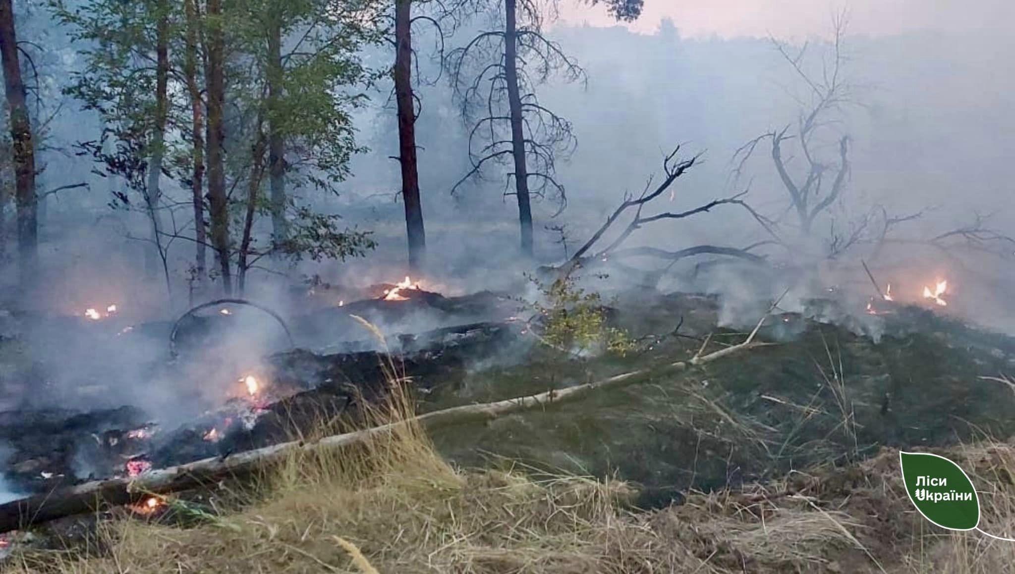 пожежа лісу у Кіровоградській області через обстріл росіян