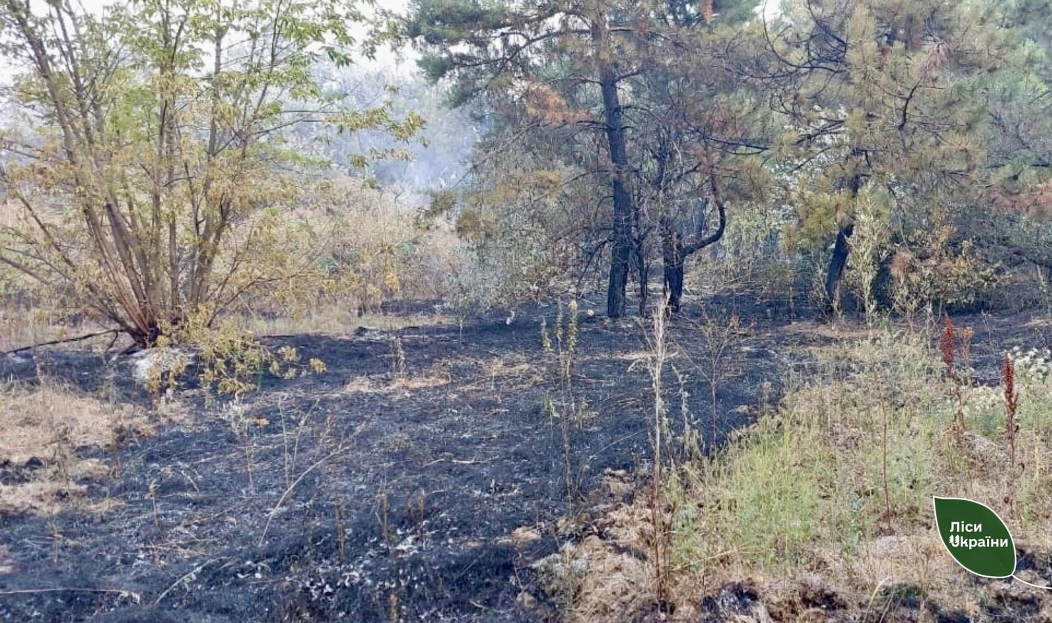 гасили пожежу у лісі в Кіровоградській області після обстрілу росіян