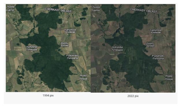 вирубаний ліс у Кіровоградській області