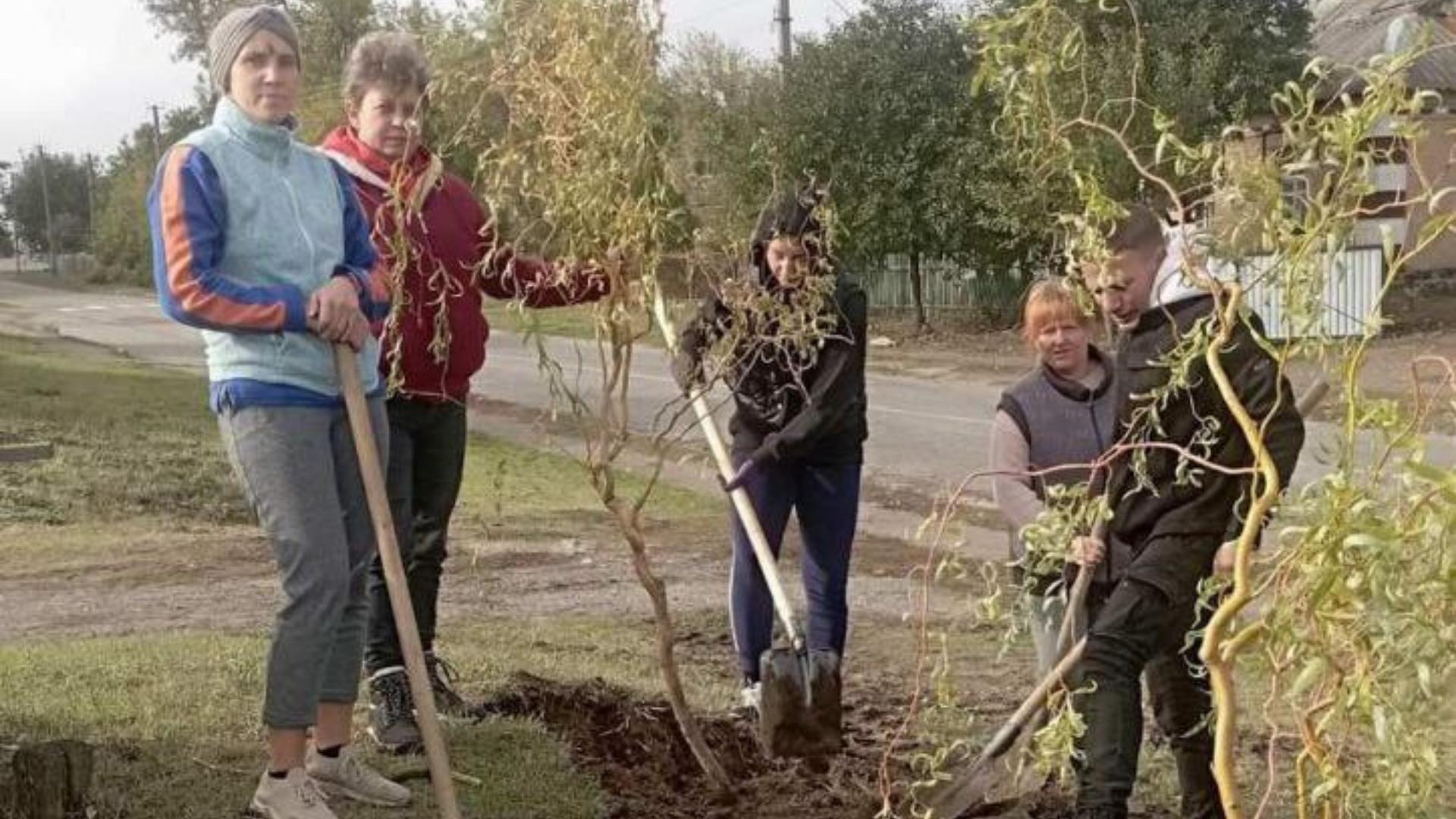 новий парк у селі Шевченкове Соколівської громади