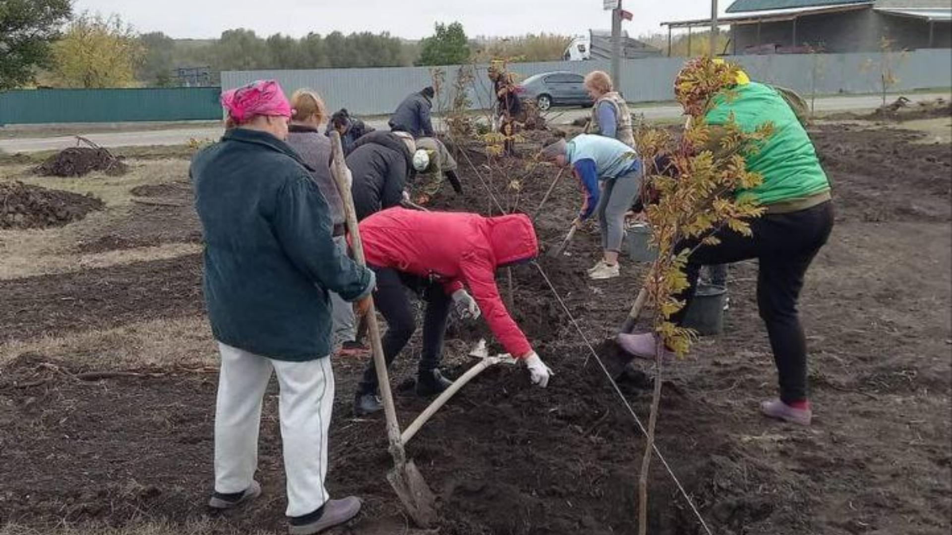 на честь захисників у селі Шевченкове на Кіровоградщині висадили парк