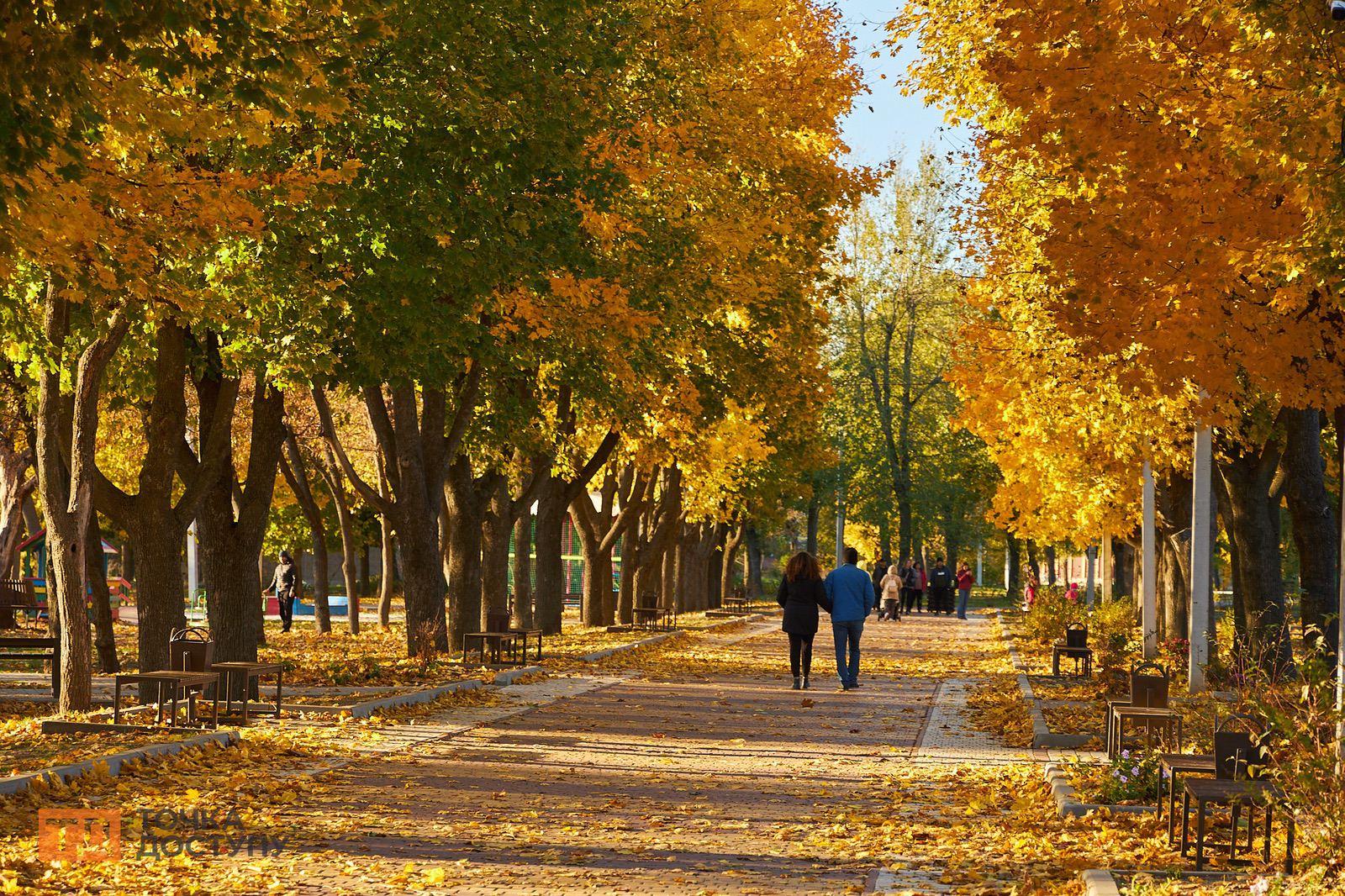 Осінній парк у Кропивницькому